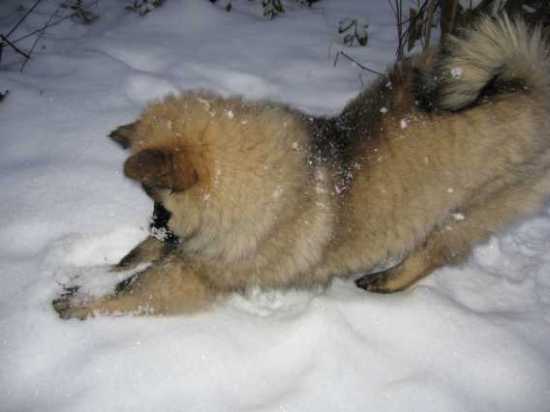 Endlich Schnee