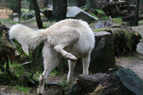 Nicht gucken
