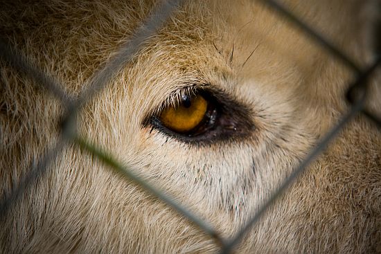 Hinter Gittern...