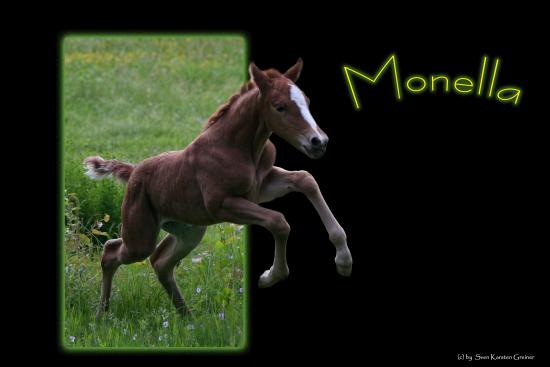 Monella
