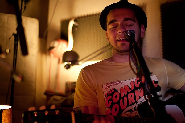 Herr Flamingo Unplugged VII