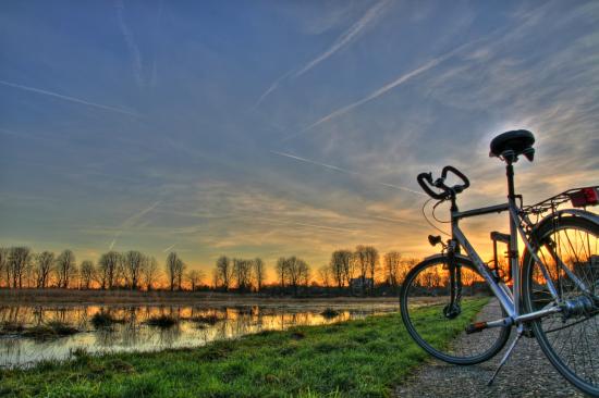 An der Aller entlang
