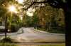 Sunset Street