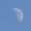 Sommermond